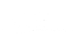Curtis Logo